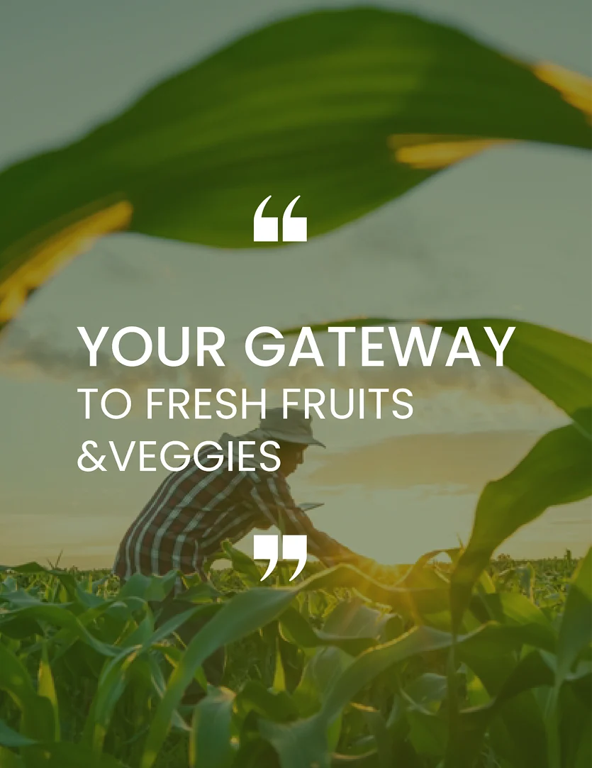 Your Gateway to Fresh Fruits & Veggies, over a field of young maize