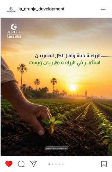 La Granja post: farming is life and hope, a hand planting a seedling at sunset